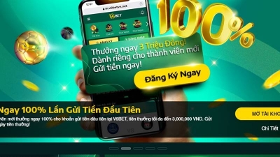 Hệ thống cá cược an toàn và đa dạng tại V9bett.site